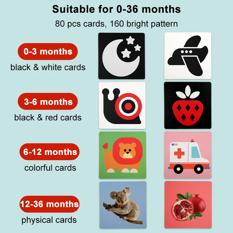 Baby Visual Stimulation Flash Cards