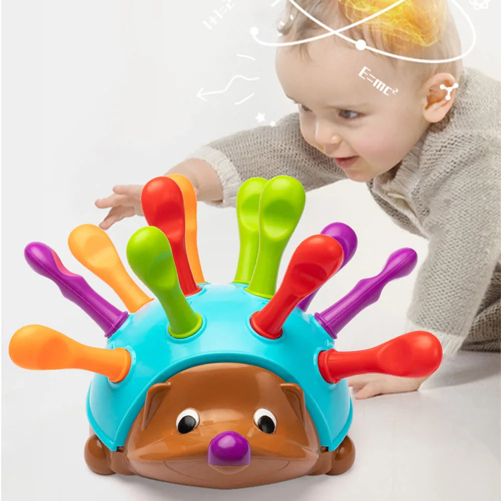 Hedgehog Early Education Toy